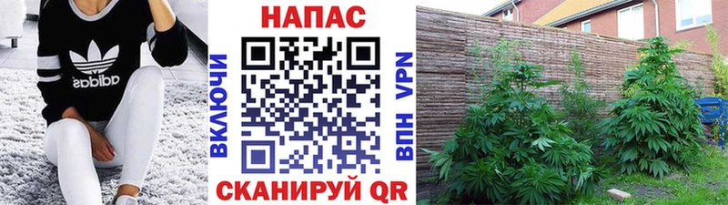 Наркошоп купить АМФ Alpha PVP ГАШ Меф Марихуана Касимов
