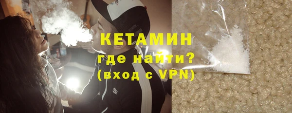 индика Новодвинск