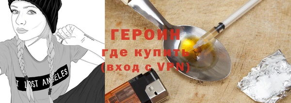 индика Новодвинск