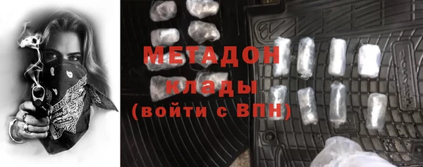 трава Няндома