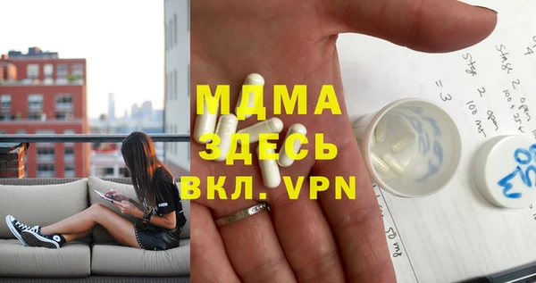 индика Новодвинск