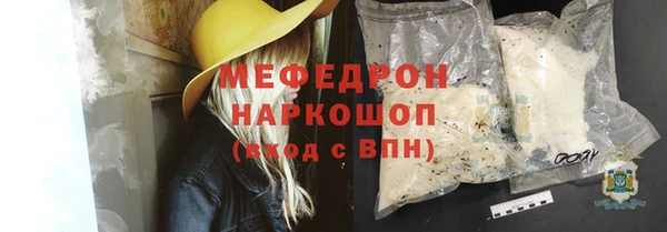 индика Новодвинск
