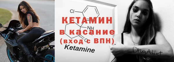 индика Новодвинск