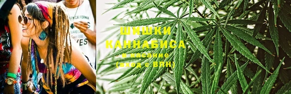 apvp Новозыбков