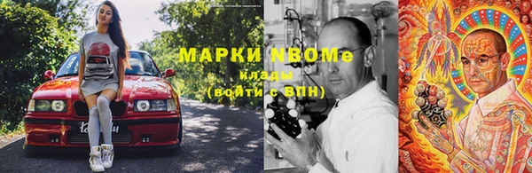 индика Новодвинск