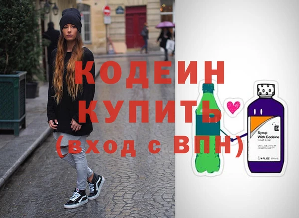 индика Новодвинск