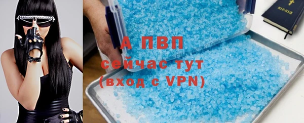 прущие грибы Нея