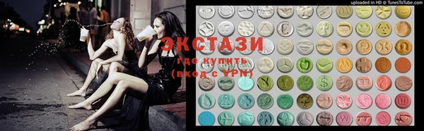индика Новодвинск