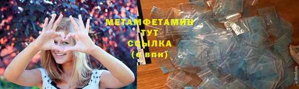 индика Новодвинск
